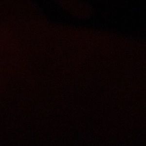 Meet your Posher, Shayla